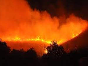 Sinop Valiliği Orman Yangınları İçin Uyardı