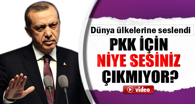 Erdoğan: PKK için niye sesiniz çıkmıyor?