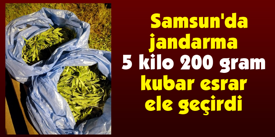  Samsun'da jandarma 5 kilo 200 gram kubar esrar ele geçirdi