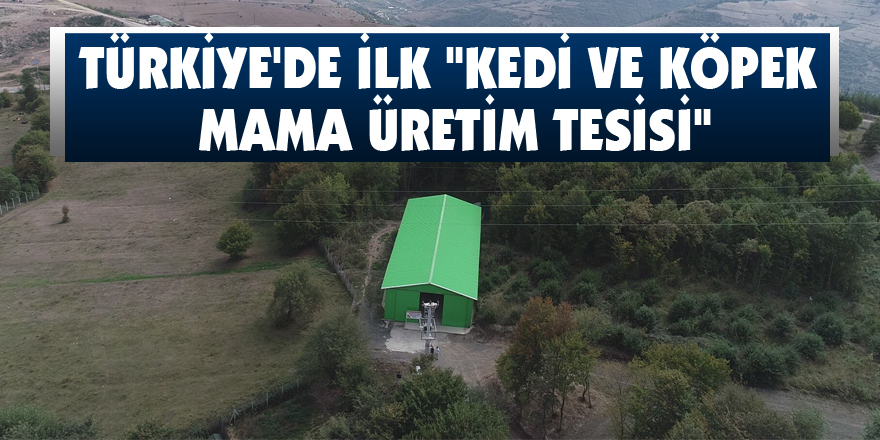 Türkiye'de ilk "Kedi ve Köpek Mama Üretim Tesisi"