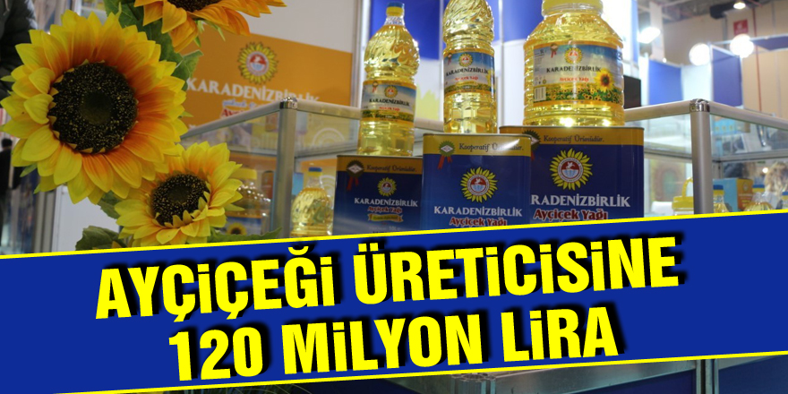 Ayçiçeği üreticisine 120 milyon lira