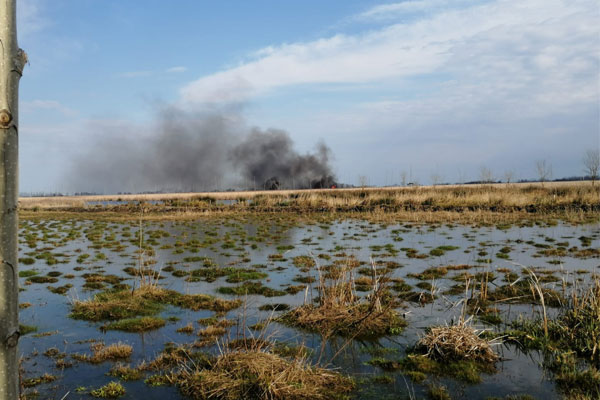 Simenit Gölü’nde yangın: Çok sayıda hayvan telef oldu