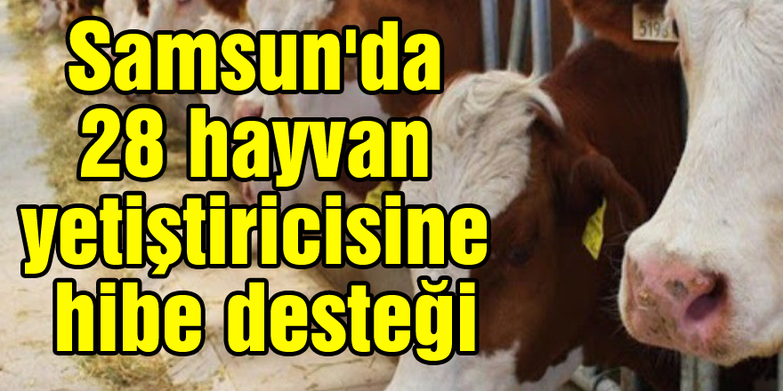 Samsun'da 28 hayvan yetiştiricisine hibe desteği