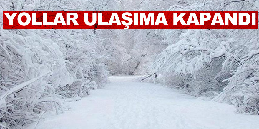 Samsun, Kastamonu, Sinop, Tokat ve Amasya'da 826 köy yolu ulaşıma kapandı