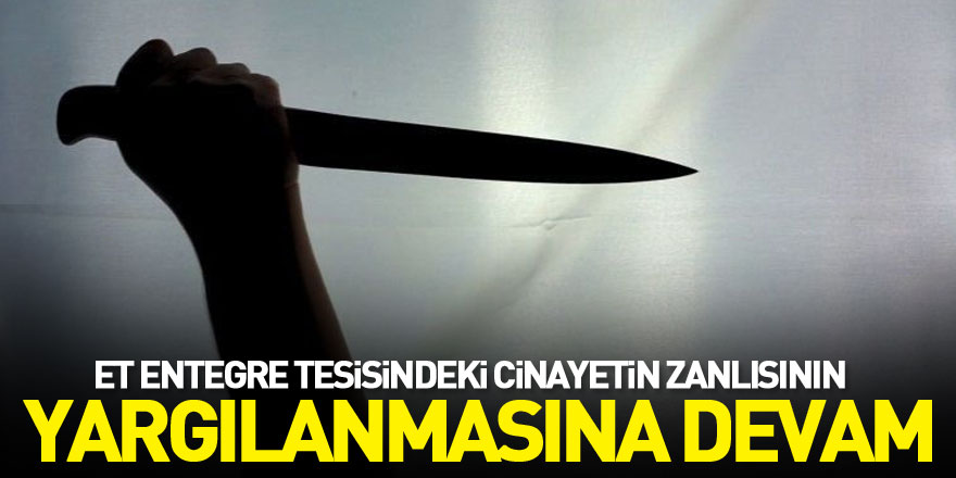 Samsun'da et entegre tesisindeki cinayetin zanlısının yargılanmasına devam edildi