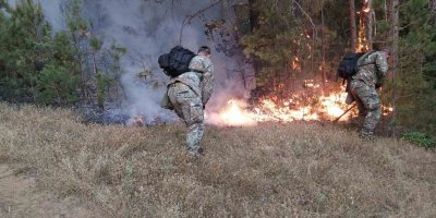Kuzey Makedonya'da orman yangınlarına müdahale için ordu seferber oldu