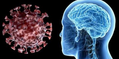 Pandeminin etkilerinden ‘beyin sisi’