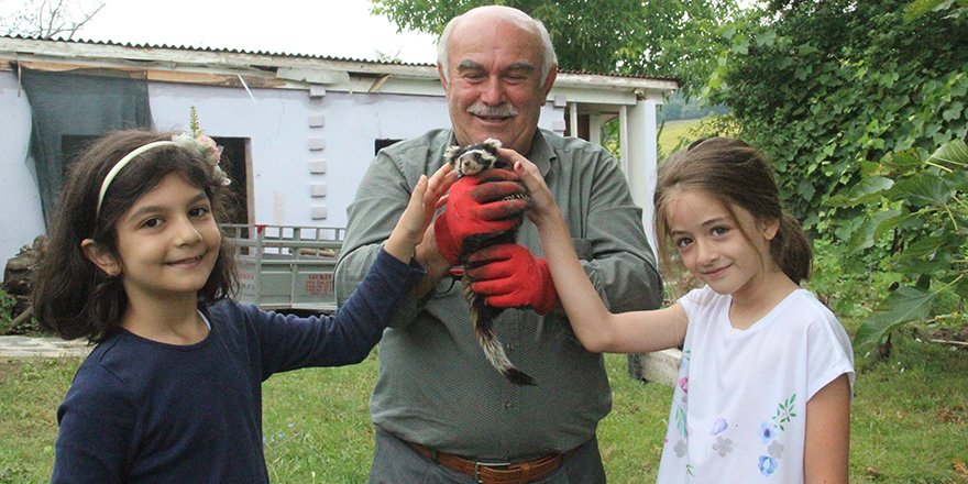 Nesli tehlike altında olan alacasansarları elleriyle besliyor