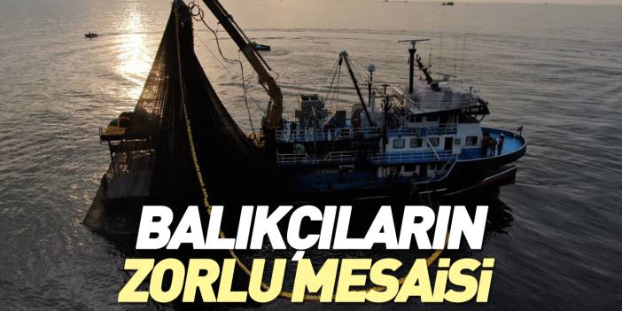 Balıkçıların zorlu mesaisi