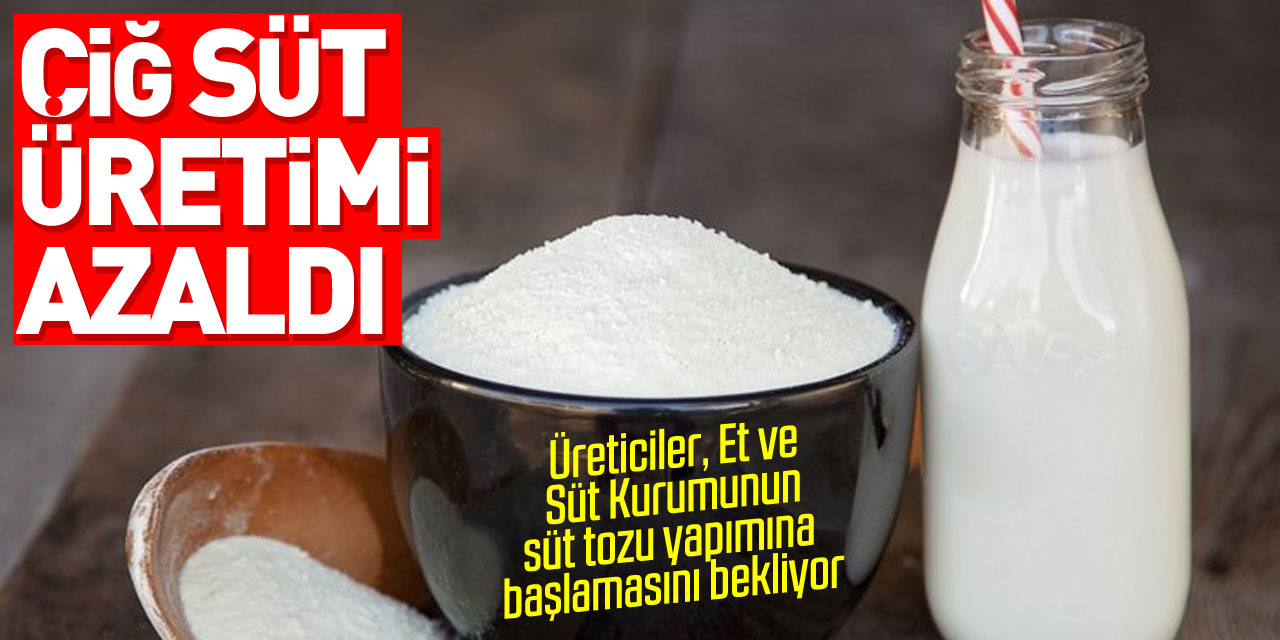 Üreticiler, Et ve Süt Kurumunun süt tozu yapımına başlamasını bekliyor