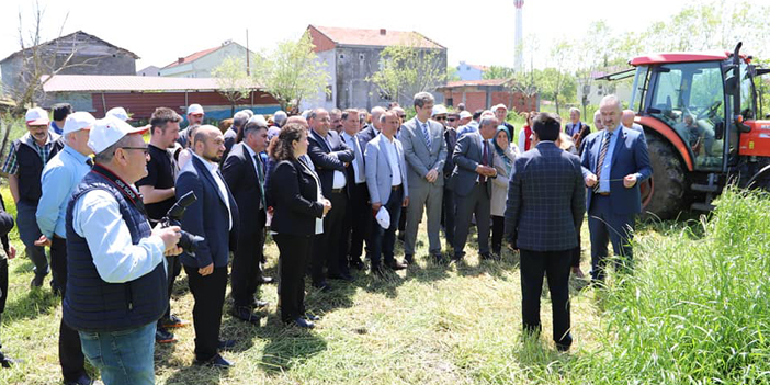 19 Mayıs ilçesinde yem bitkileri tarla günü etkinliği yapıldı