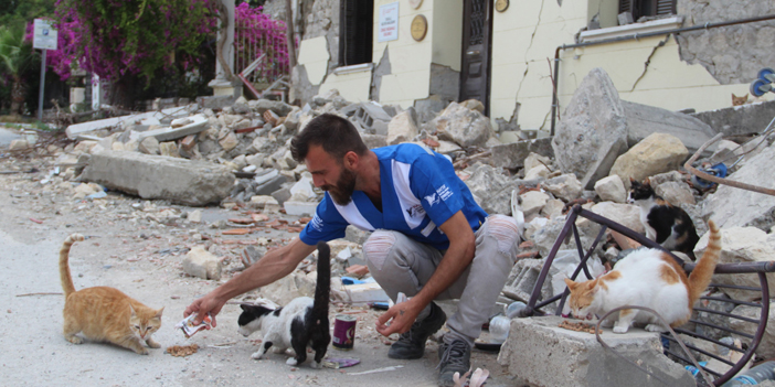 Hatay'da yaklaşık 10 bin depremzede 'can dost' mama desteği bekliyor