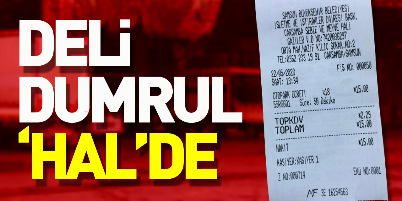 DELİ DUMRUL,  HAL’E ÇÖREKLENMİŞ