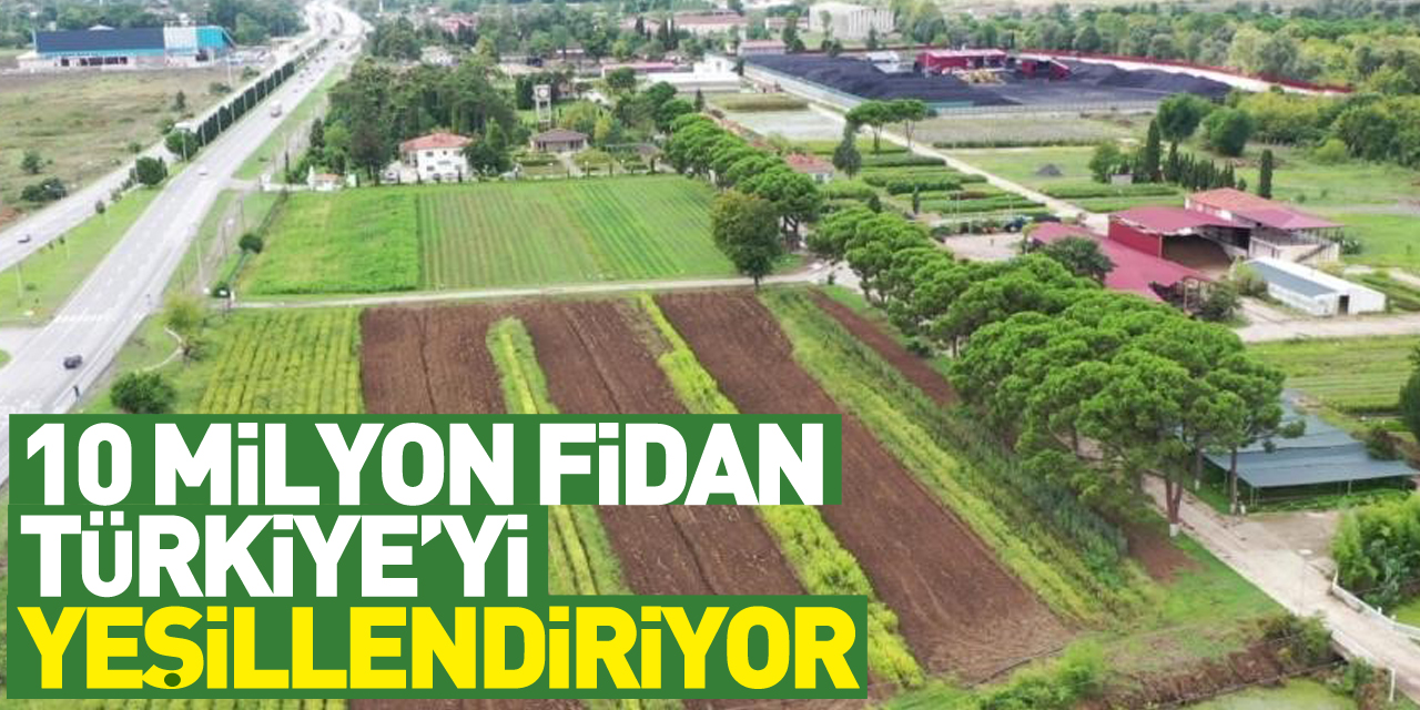 Samsun’da üretilen 134 türden 10 milyon fidan Türkiye’yi yeşillendiriyor