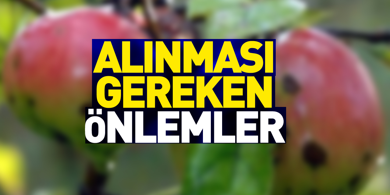 Elma, armut ve şeftali üreticilerinin alması gereken acil önlemler