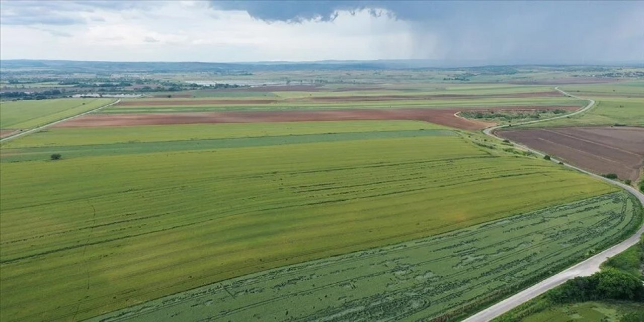 Yağmurlar Trakya'yı kuraklık haritasından çıkardı