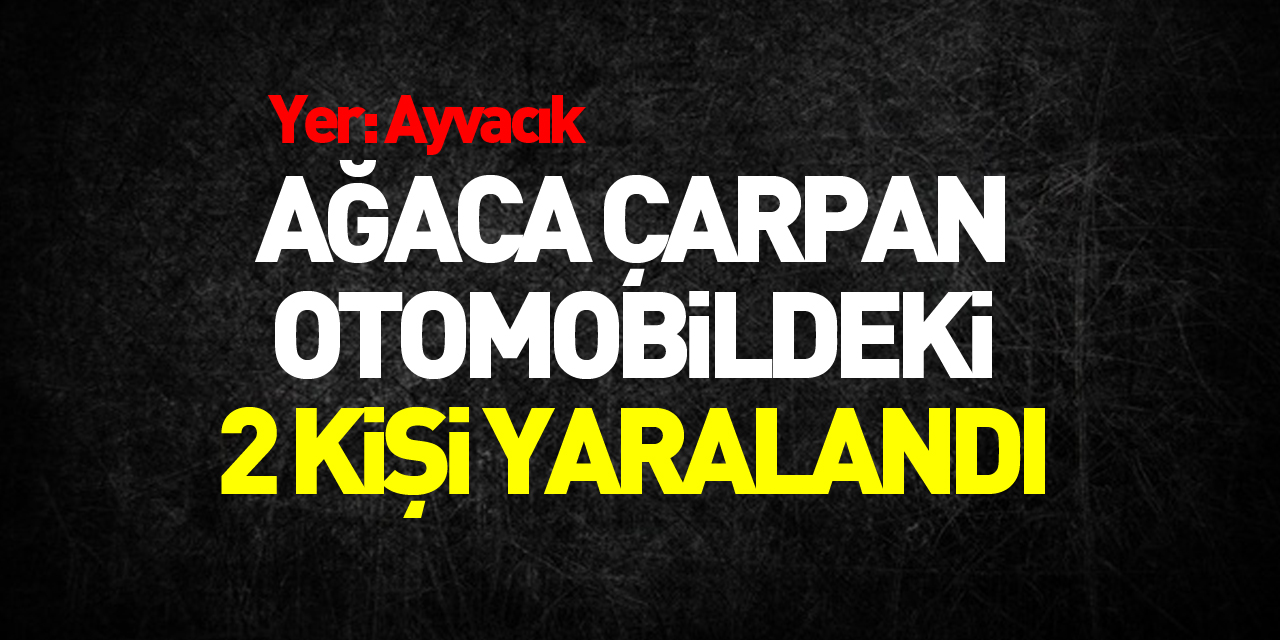 Samsun'da ağaca çarpan otomobildeki 2 kişi yaralandı