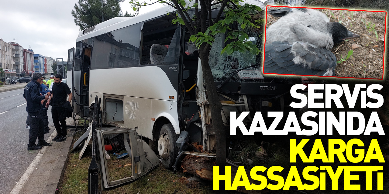 Samsun'da 9 kişinin yaralandığı işçi servisi kazasında polis, yaralı karga yavrusuna da hastaneye götürdü