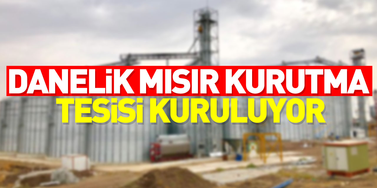 Havza'da danelik mısır kurutma tesisi kuruluyor