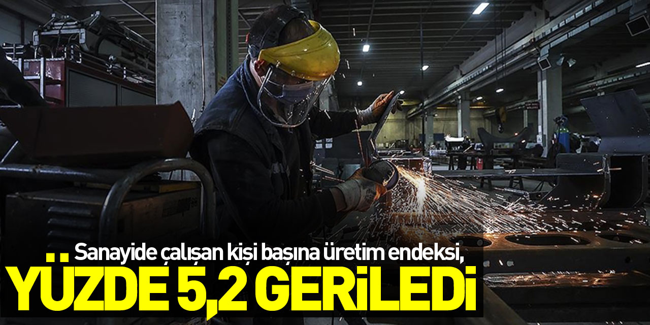 Sanayide çalışan kişi başına üretim endeksi, ilk çeyrekte yıllık yüzde 5,2 geriledi