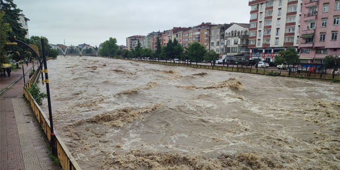 Terme Çayı'nda korkutan görüntü