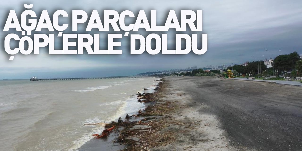 Samsun plajları ağaç parçaları ve çöplerle doldu