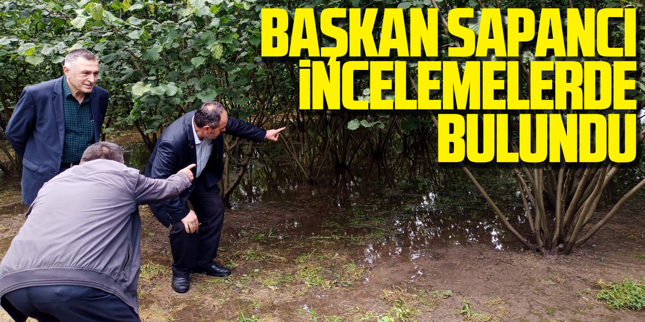 Başkan Sapancı İncelemelerde Bulundu