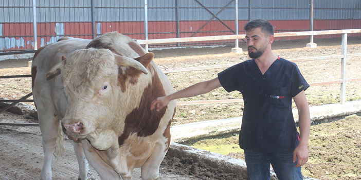 Onu gören şaşırıyor: İkinci el otomobil fiyatına alıcısını bekliyor