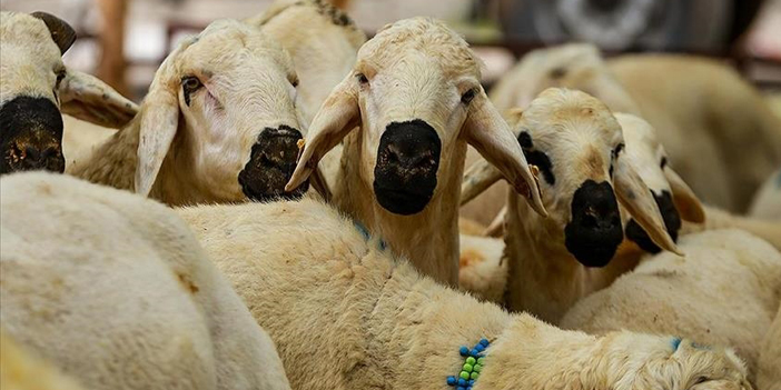 STK'ler kurban bağışlarını depremzedelere ulaştıracak