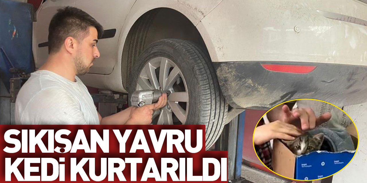 Otomobilde sıkışan yavru kedi kurtarıldı