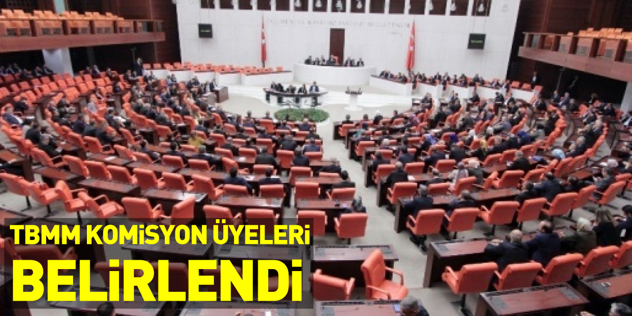 TBMM Komisyon üyeleri belirlendi