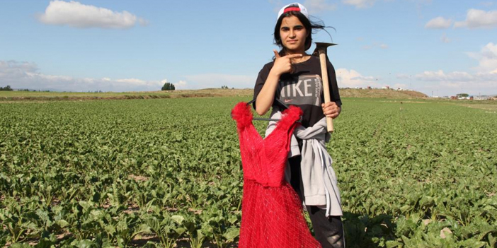 Mezuniyet elbisesi için tarlada çalışan 13 yaşındaki Narin'in hayalini gerçekleştirdiler