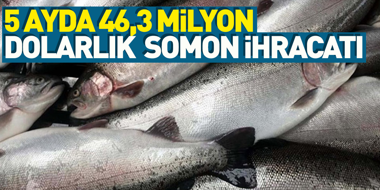 Doğu Karadeniz'den 5 ayda 46,3 milyon dolarlık Türk somonu ihraç edildi