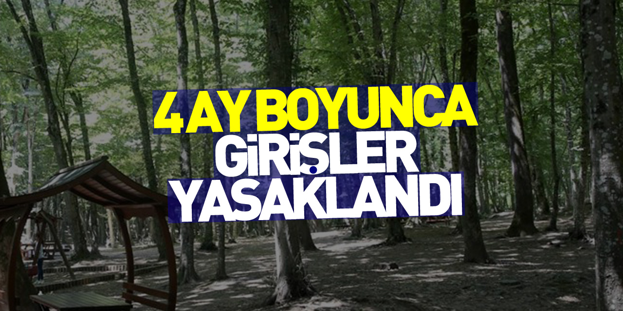 Samsun'da 4 ay boyunca ormanlık alanlara girişler yasaklandı