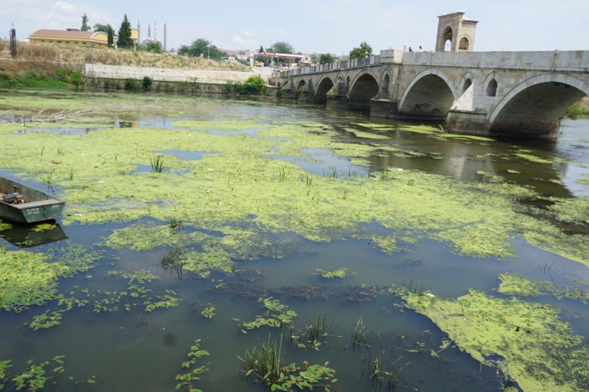 Tunca Nehri plastik atıklar ve çöplerle kaplandı