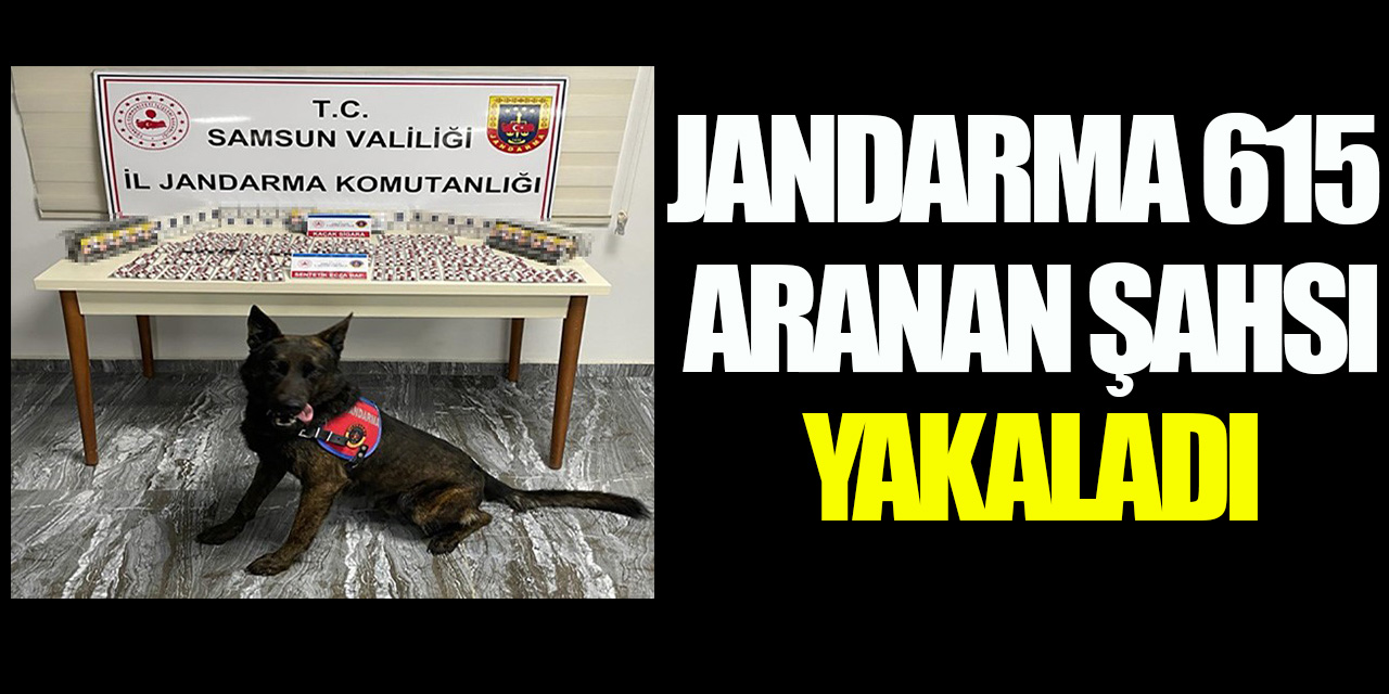 Jandarma 615 aranan şahsı yakaladı