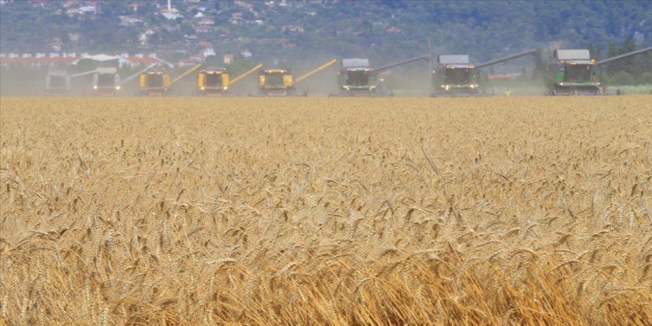 Türkiye'de 5 yılda devlet destekli tarım sigortalarında en fazla ödeme "dolu" hasarlarına yapıldı