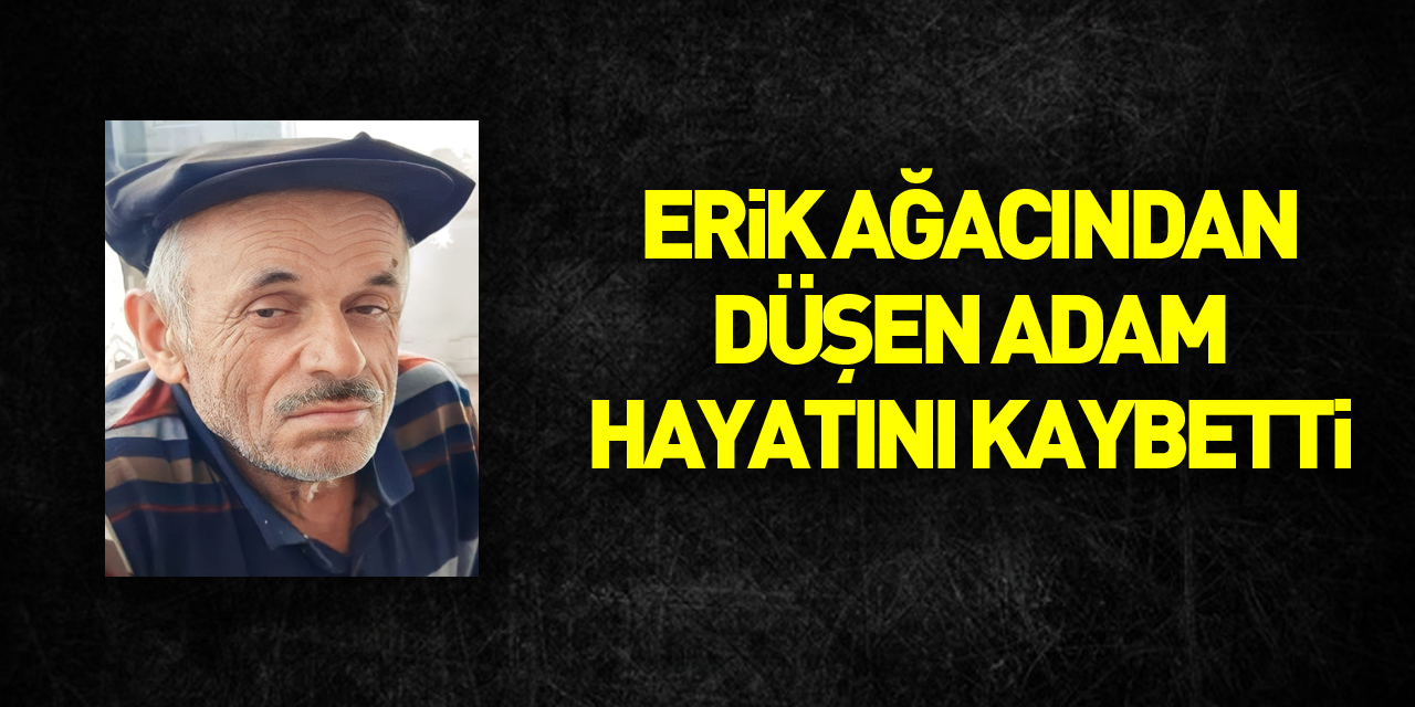 Erik ağacından düşen yaşlı adam hayatını kaybetti