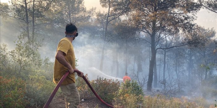 Orman yangınlarına neden oldukları gerekçesiyle bir haftada 7 şüpheli gözaltına alındı