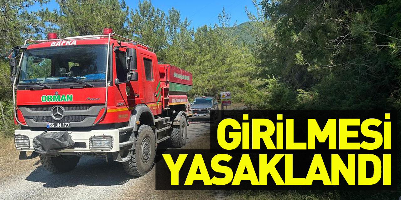 Bafra'da ormanlık alanlara girilmesi yasaklandı