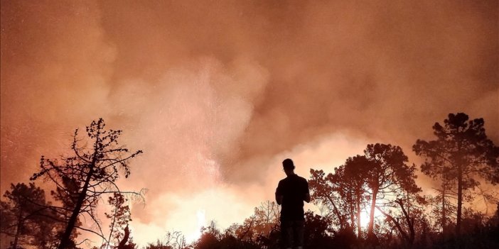 Türkiye, Cezayir'e yangınlar nedeniyle ölenler için başsağlığı diledi