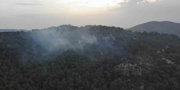 Çanakkale’deki orman yangınına günün ilk ışıklarıyla hava müdahalesi başladı