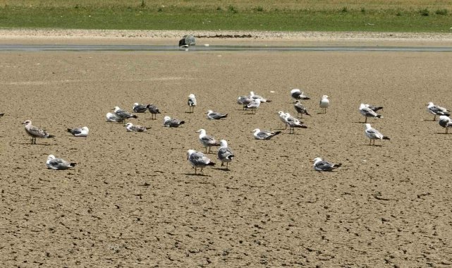 Sıcak havanın etkisini sürdürdüğü İstanbul’daki barajlarda son durum