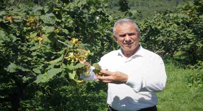 Fındık hasadı öncesi TTB Başkanı Ergan’dan uyarı