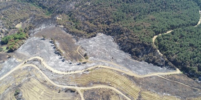 Çanakkale'deki orman yangınında 2 bin 500 hektar alanın zarar gördüğü belirlendi