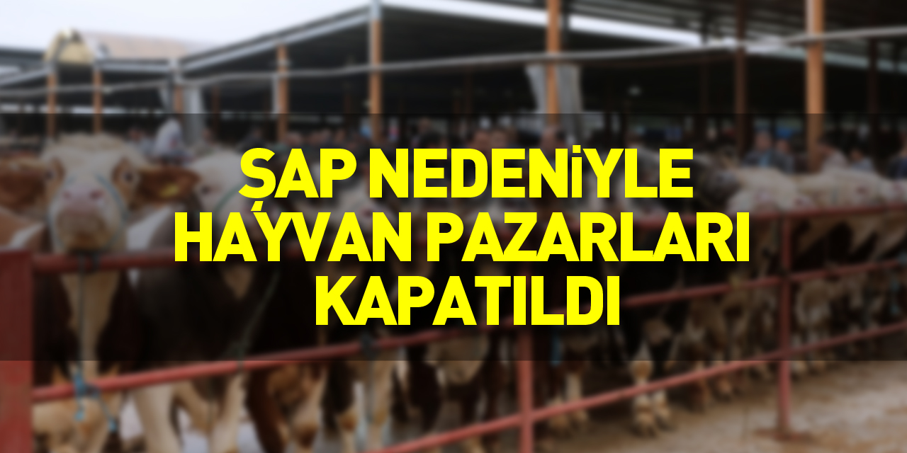 Samsun'da şap nedeniyle hayvan pazarları kapatıldı