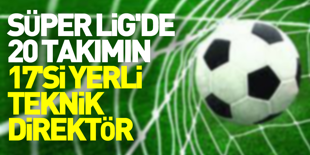 Süper Lig'de 20 takımın 17'si yerli teknik adamla lige başlayacak