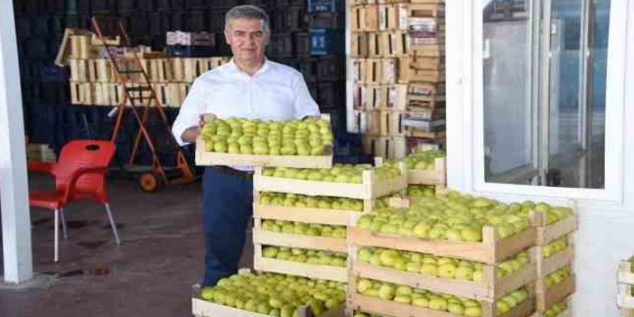 Aydın’ın milli meyvesi İncir, Avrupa’nın gözde meyvesi oldu