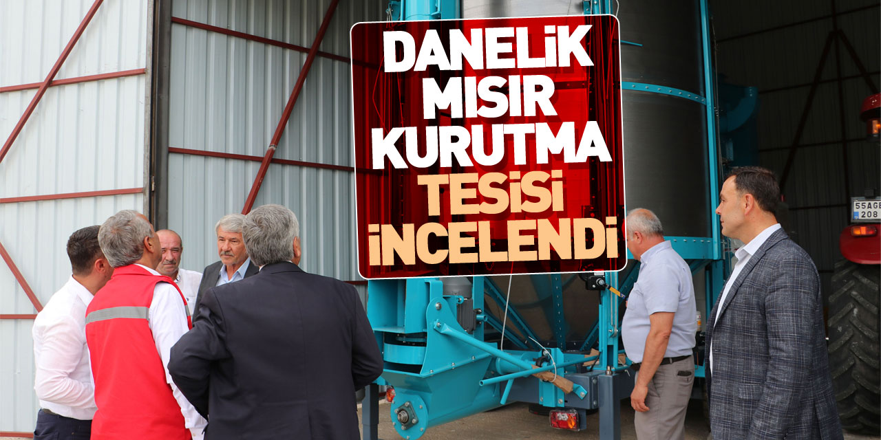 Havza'da kurulan danelik mısır kurutma tesisi incelendi