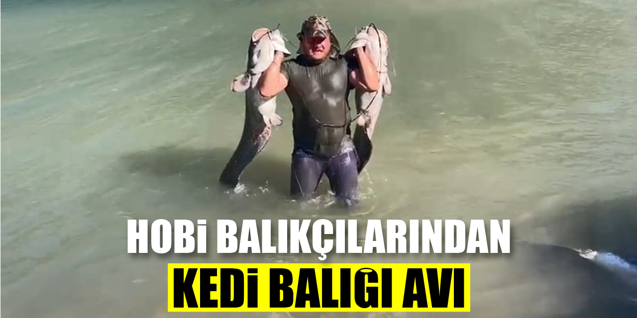 Hobi balıkçılarından olta ile 2 metrelik kedi balığı avı